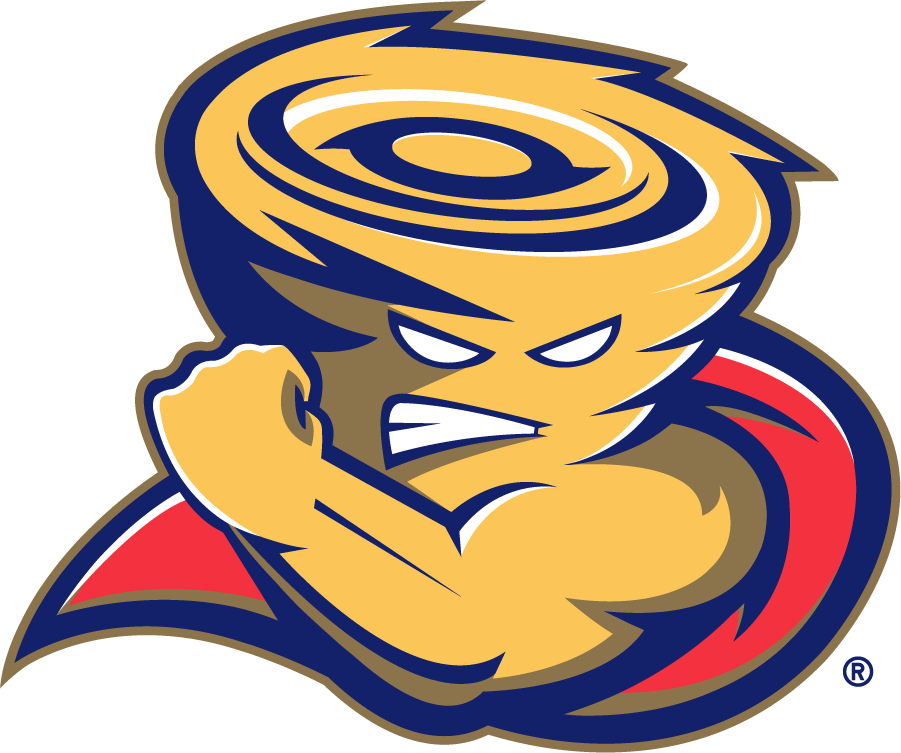 Tulsa Golden Hurricane 2006-2009 Mascot Logo DIY iron on transfer (heat transfer)